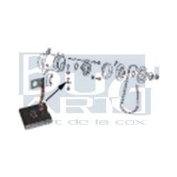 CHARBONS 12V ALTERNATEUR paire