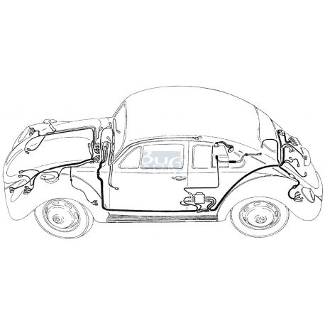 CIRCUIT ELECTRIQUE ORIGINE 54-55