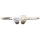 CLEFS VIERGE K 67-70