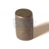 PIONS VOLANT STD.(8PC)