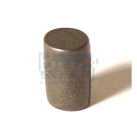 PIONS VOLANT MOTEUR ET LARGE (8)
