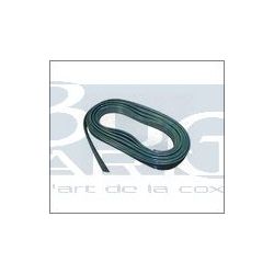 KIT JOINTS AILES TURQUOISE GREEN 4 ailes