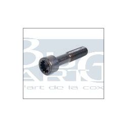 BOULON DE CARDANS ETOILE pièce