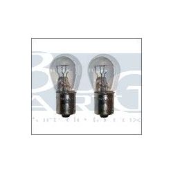 AMPOULES 6V 21W paire