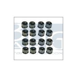 CACHES BOULONS 19mm CHROME (20)