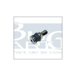 VALVE PNEU CHROME