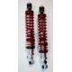 JAMBES DE FORCE 12/13/1500 AVANT