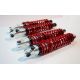 JAMBES DE FORCE 12/13/1500 AVANT