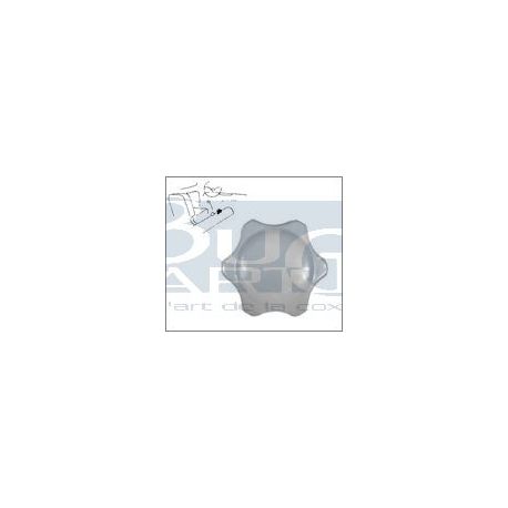 BOUTON CHAUFFAGE -64 ET T2-67 gris