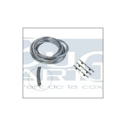 KIT JONCS CHROMES VIT. -71et MEX PLAST.