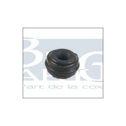 CAPUCHON CTC VIS DEPURGE CYL. DE ROUE