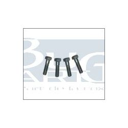 VIS COUVERCLE BARRE DE TORSION (4pc).